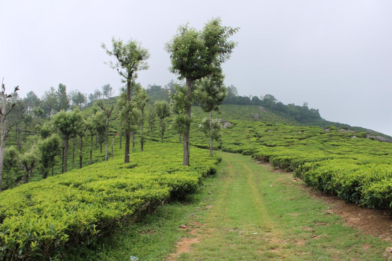 Hidden Heaven Otel Coonoor Dış mekan fotoğraf