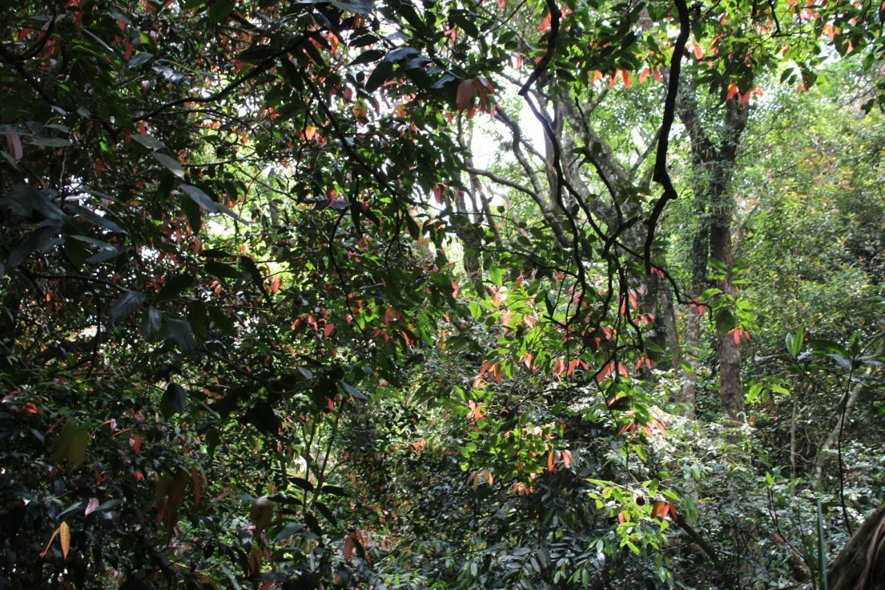 Hidden Heaven Otel Coonoor Dış mekan fotoğraf
